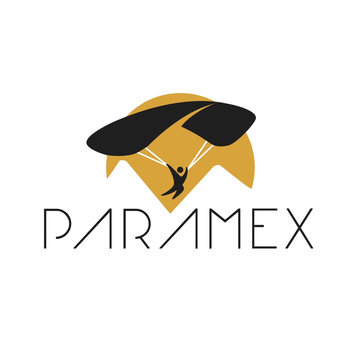 Vuelo tándem Paramex
